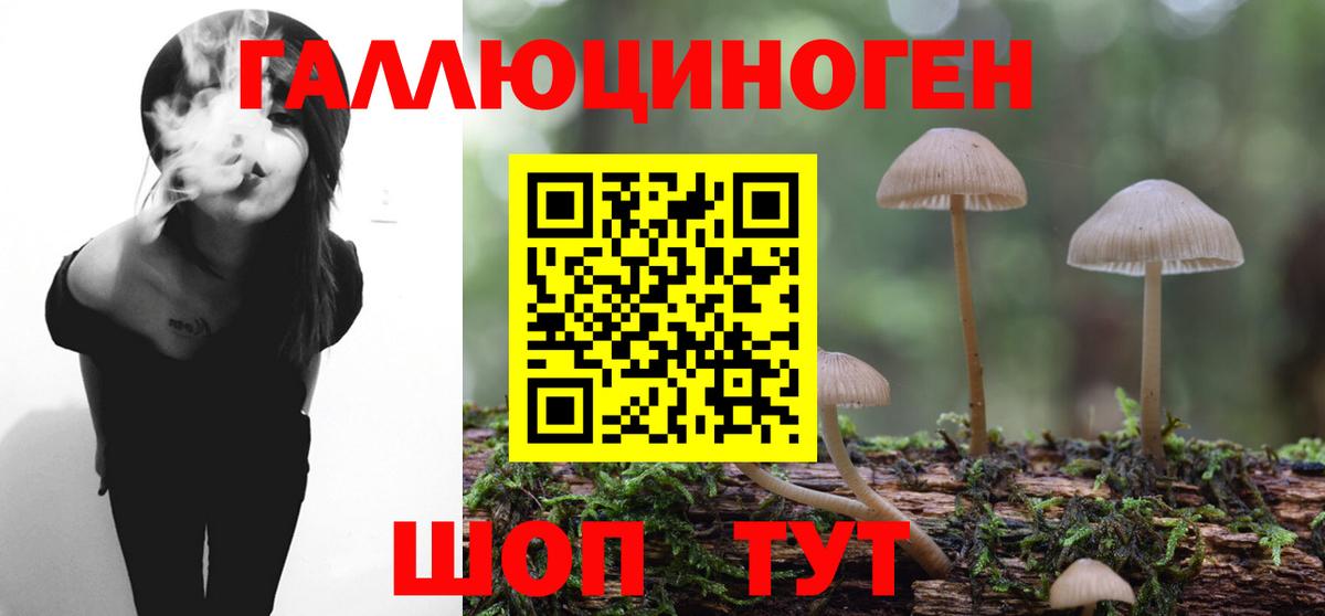 Псилоцибиновые грибы MAGIC MUSHROOMS  Вход с VPN  Россошь 
