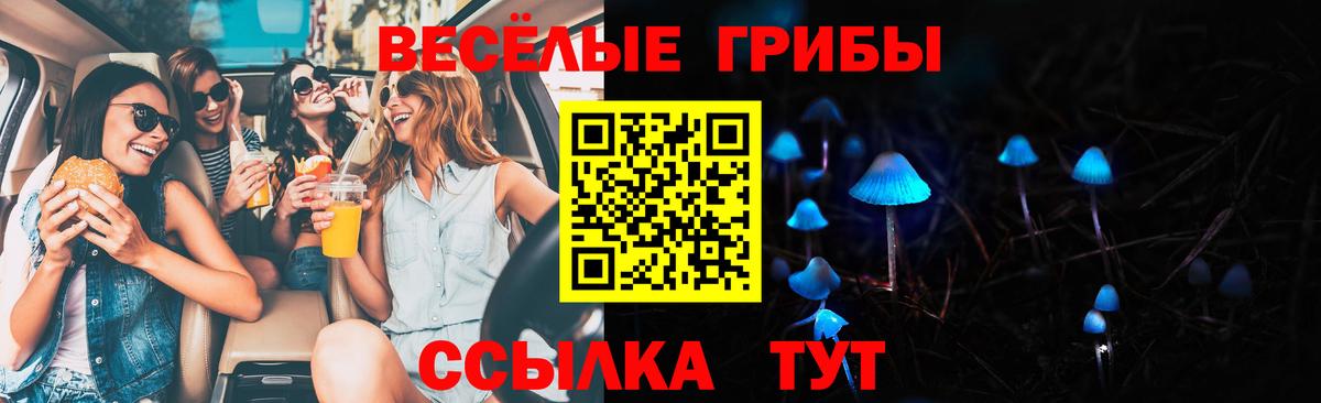 Галлюциногенные грибы GOLDEN TEACHER Россошь
